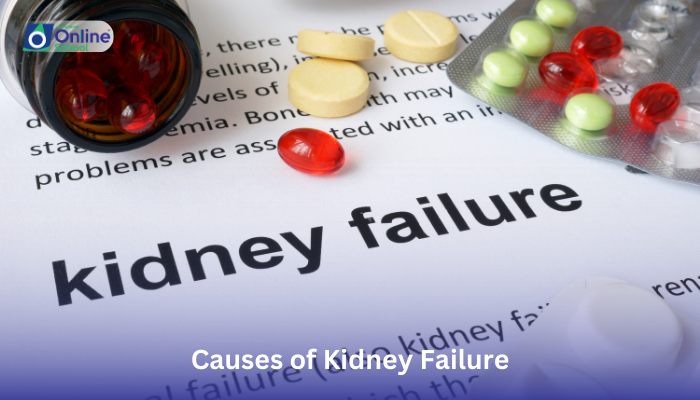 Lesson 18: Causes of Kidney Failure